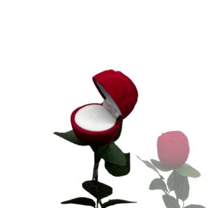 Support de bague rouge